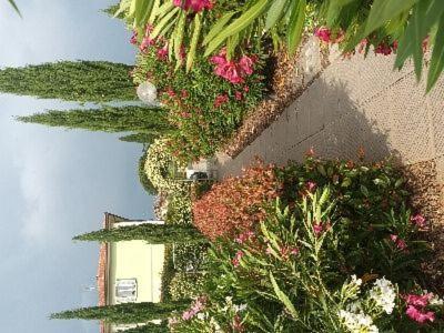 Villa Manuela Altopascio Esterno foto